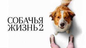 Собачья жизнь 2 | A Dog's Journey (2019)
