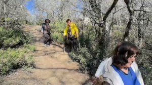 По Массандровской тропе. Видео Л.П. Юрчишко