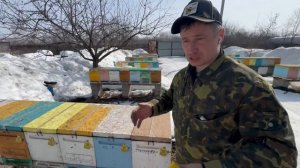 18 марта , чистим донья , состояние пчелосемей