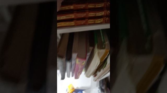 Полка котов воителей смотреть онлайн