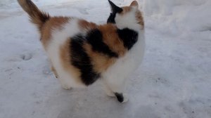 13 марта 2026 года неожиданно пришла весна.