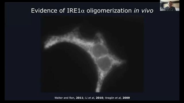 базовые методы крио электронной микроскопии электронной томографии2.mp4