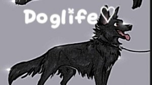 1 новост   а видео почемуто долгое 😅