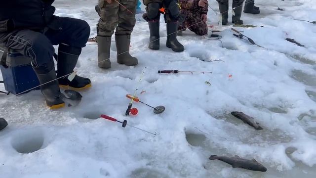 18.03.26 г. РК Волна. смотреть онлайн
