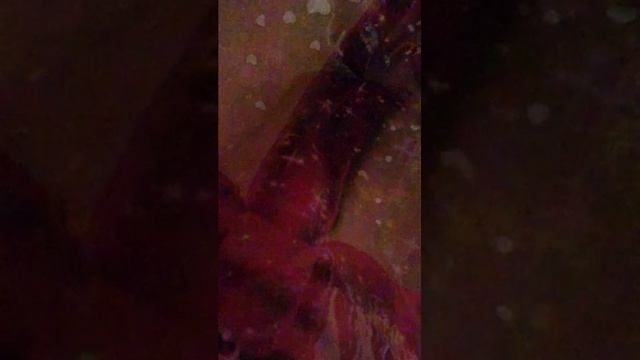 играем в geometry gash