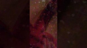 играем в geometry gash