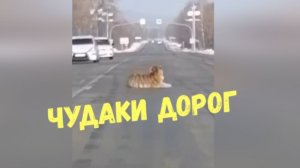 ЧУДАКИ ДОРОГ\\альтернативная оплата\карма дрифтеров\аргумент из штанов\обиженный и обиженная\