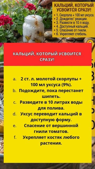 КАЛЬЦИЙ, КОТОРЫЙ УСВОИТСЯ СРАЗУ!