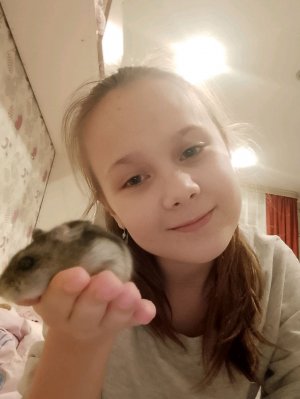 Прода хомяков