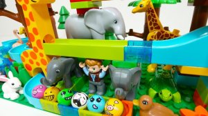 СТРОИМ ГОРКУ ДЛЯ ШАРИКОВ С ЖИВОТНЫМИ КАТАЕМ ШАРИКИ ВИДЕО ДЛЯ ДЕТЕЙ ДЕТСКИЙ КАНАЛ ИГРАЛКИ-ЗАЛИПАЛКИ