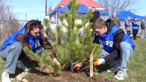 В день воссоединения с Россией в Крыму стартовала патриотическая акция "Сад памяти".