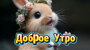 Доброго утра хорошего дня и отличного настроения ☀️🌟