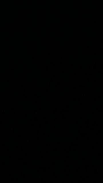 когда тётя бесит даже собак