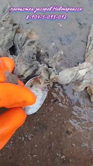 Путина, ложки на нересте.