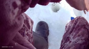 Половил активно не крупного Окушка, ну, что ж поделаешь рыба не активна, нашел ключек.