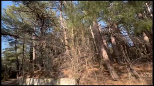 ГЕЛЕНДЖИК! САМЫЕ КРАСИВЫЕ МЕСТА! ГЕЛЕНДЖИК 2026 ВЛОГ