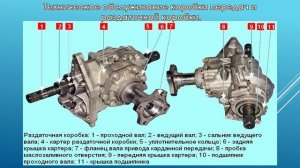Управ. проц. ТО и Р авто.19.03. 531 гр. Текущий ремонт трансмиссии автомобиля.