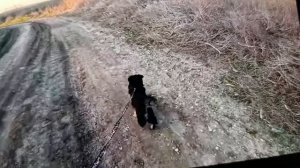 подписываемся и смотрим.