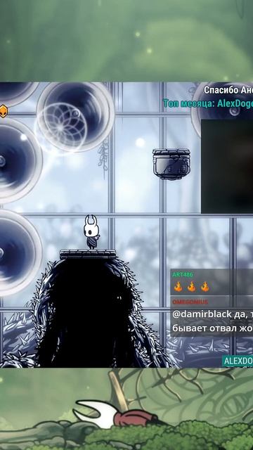 Мышб нашла путь