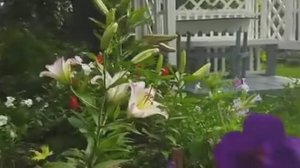 Беседка-пергола моими руками. Фрагменты.