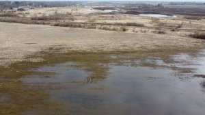 р.Большаковка часть 2