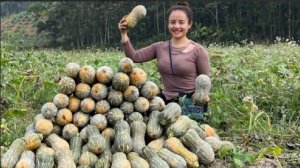 Сбор урожая тыкв для продажи на рынке. Жизнь и быт Вьетнама. Энн