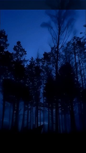 6025587591809.mp4 смотреть онлайн