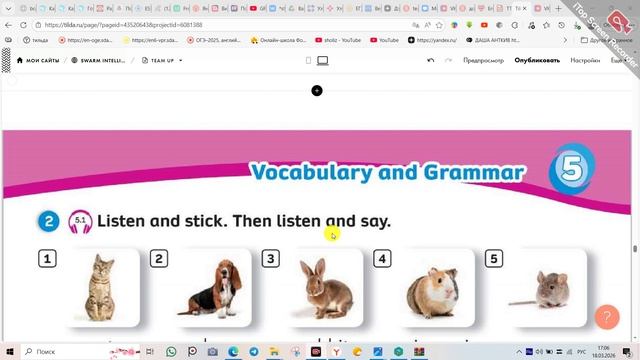 Team Together 1 тема 5 Help The Animals 20260318_170454
