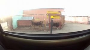 С днем рождения Вова!