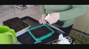 Обзор участка в марте. Отвечаю на вопросы. Сею цветы и лук-батун.