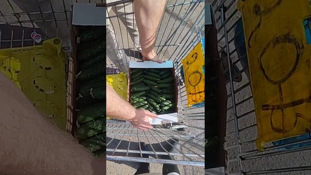 цены на фудсити.mp4