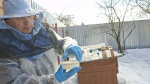 Первая обработка от клеща, плюс даем воду и пергу.