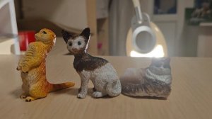 мдам скоро видео будут не только про лошадей...