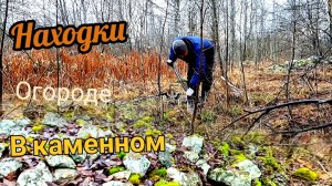 Копаю каменные огороды! коп металлолома