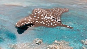 Рельефное море эпоксидной смолой / Resin art / часть 2