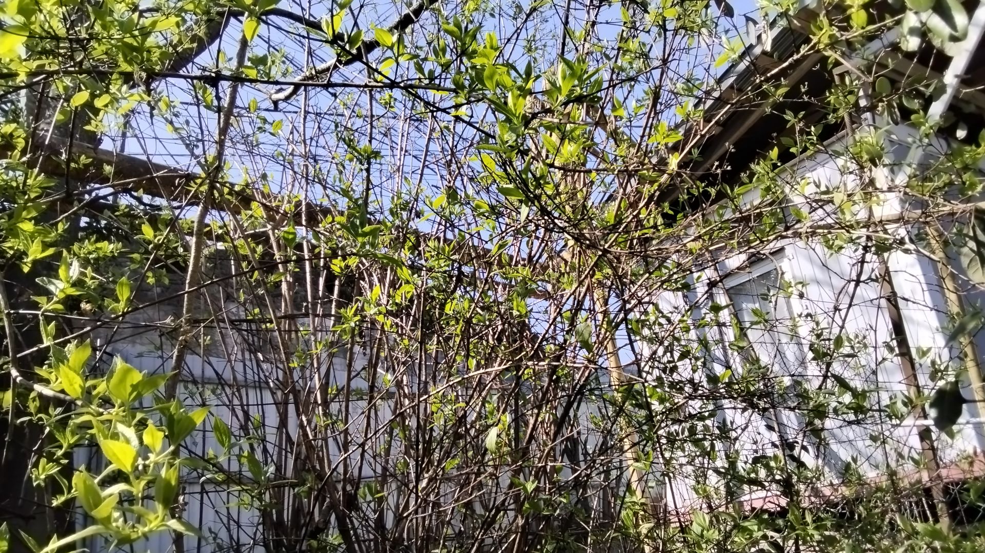 Весна в Сочи 18.03.2026