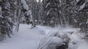 ТАЙГА Таежный РУЧЕЙ не ЗАМЕРЗАЕТ Зимой Ручей ПИХТОВЫЙ Сухой пит