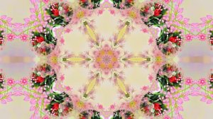 Весна! Очаровательные тюльпаны 9! Киностудия Мудрого Кота Тимофея!