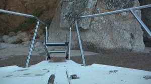 petal_20260318_224750.mp4