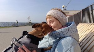 Анапа. Высокий берег.🏖️
18.03.2026.