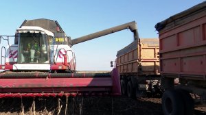 Йыл экспортеры. Рәсәйҙә эшләнгән