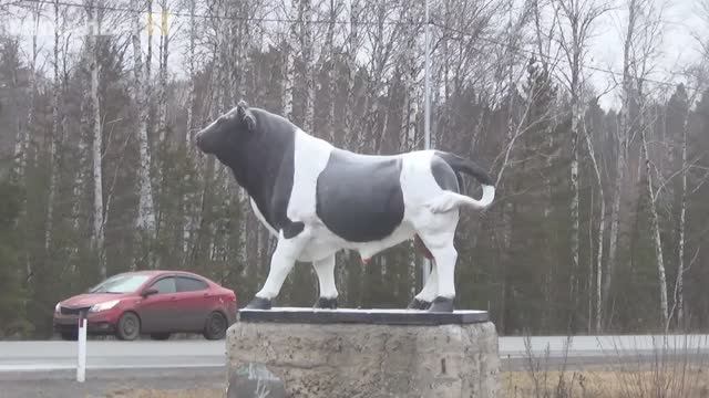 Живи пока живется  Песня супер !