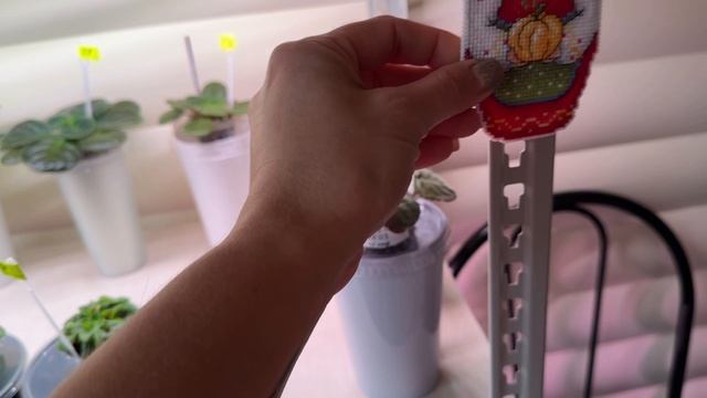 Вышивка крестиком.Мои процессы.Продвижения.Планы.