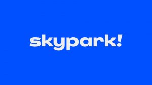 Skypark — бренд-стратегия для высотного парка