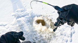НА ТАКУЮ РАЗДАЧУ судака Я ЕЩЁ НЕ ПОПАДАЛ. АППАРАТЫ КЛЮЮТ на балансиры. Рыбалка зимой 2026