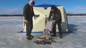 ВЕСЕННЯЯ РАЗДАЧА НАЧАЛАСЬ! ЗИМНЯЯ РЫБАЛКА С КОМФОРТОМ