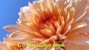 Солнышко моё.