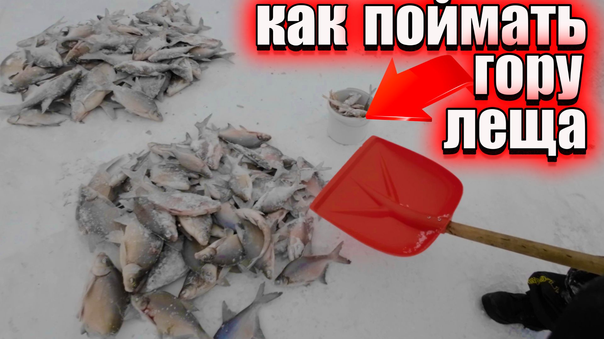 Секретный залив КВХ. Как поймать гору леща. Рыбалка. Зимняя рыбалка.