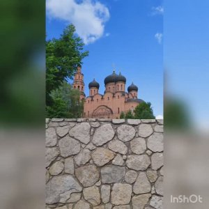 Святые кустики июль 2022