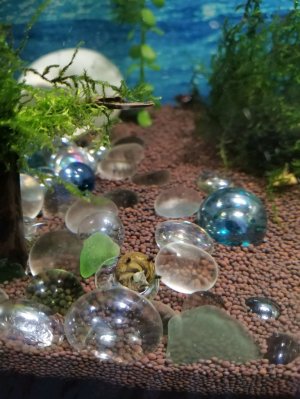 Подводный мир